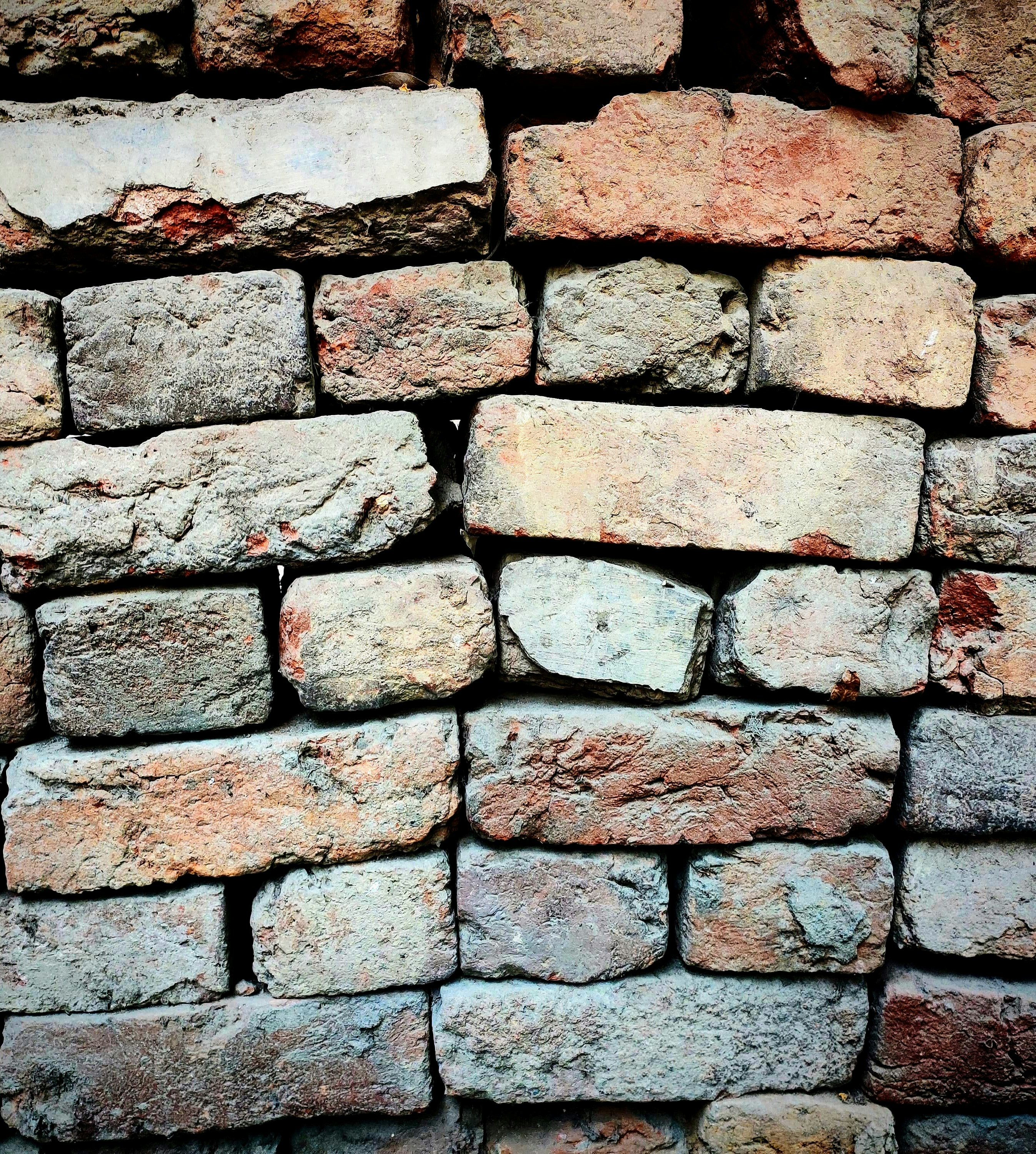 Photo by _clicksbyayush_