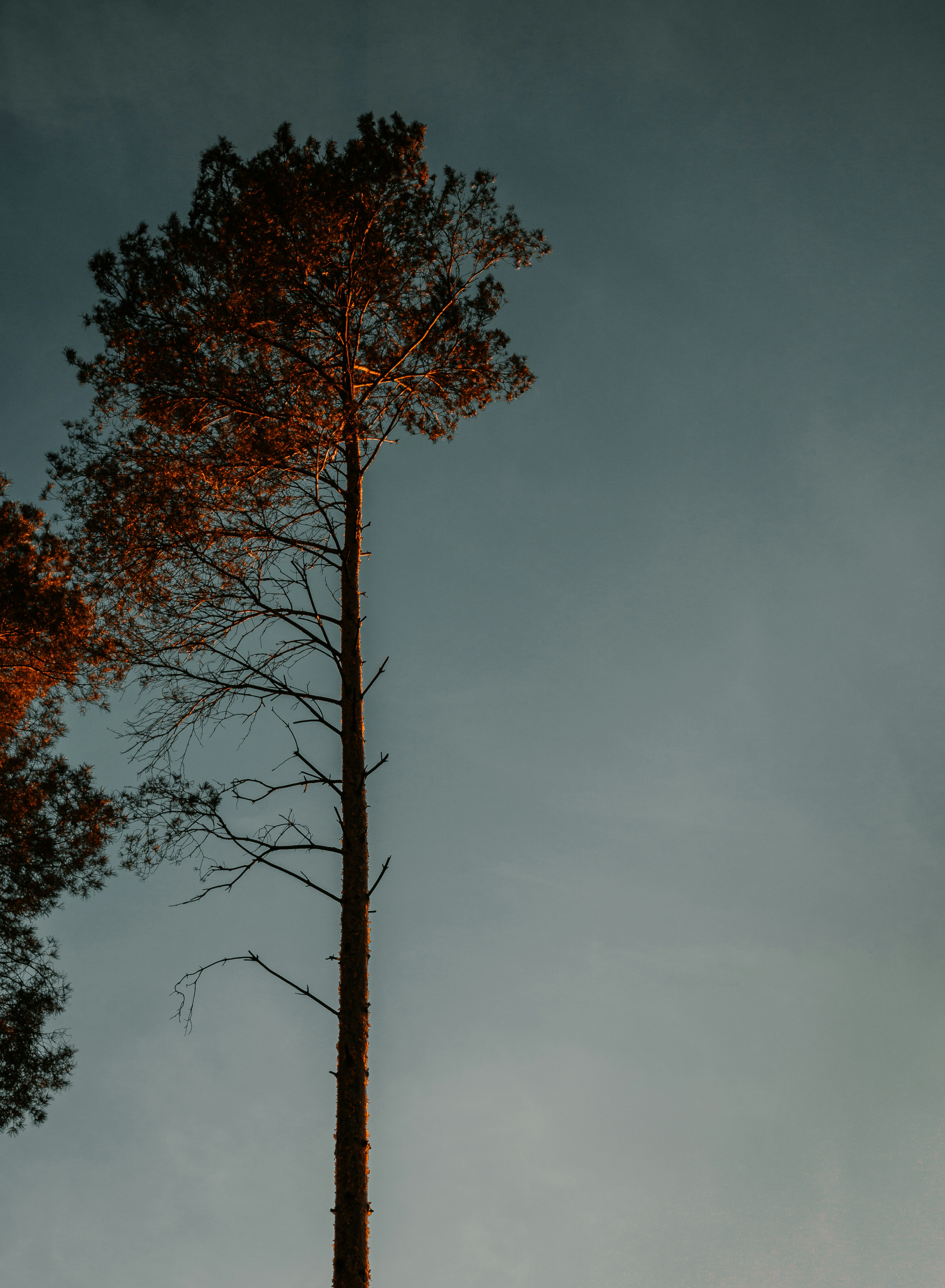 Photo by deuspix
