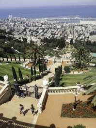 aerial view of green trees and buildings during daytime
