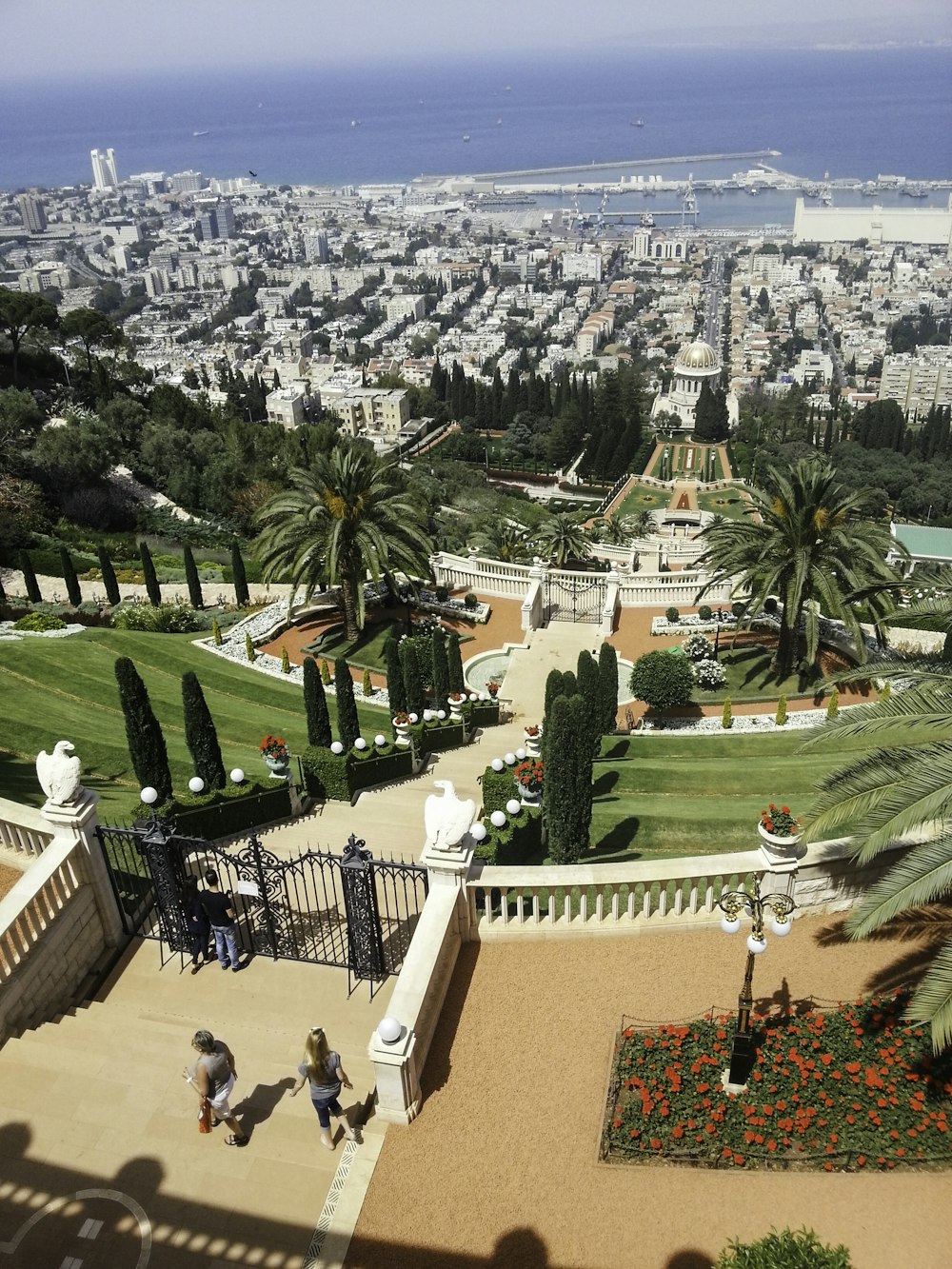 Vista aérea de árboles verdes y edificios durante el día