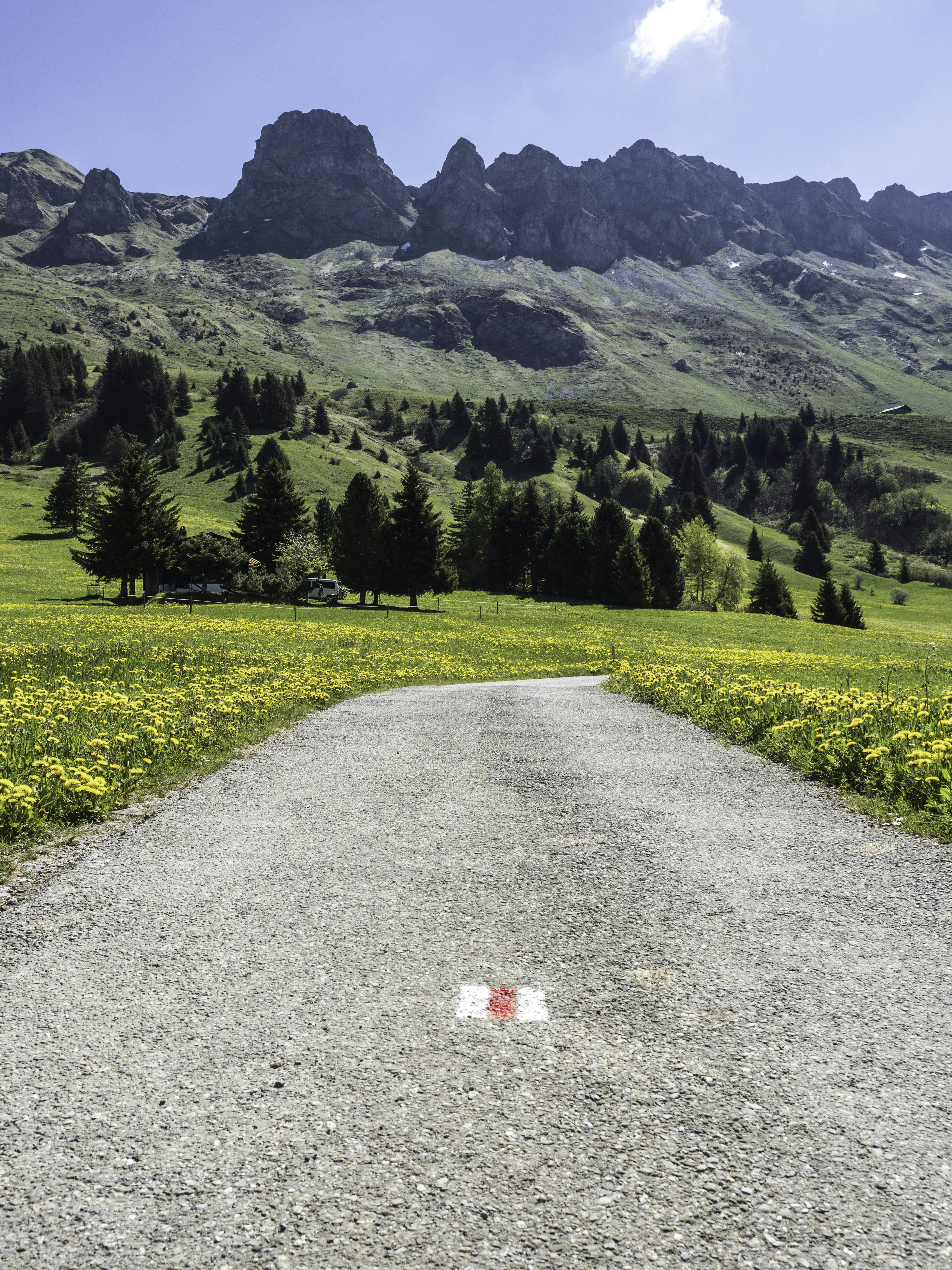 green grass field near mountain during daytime