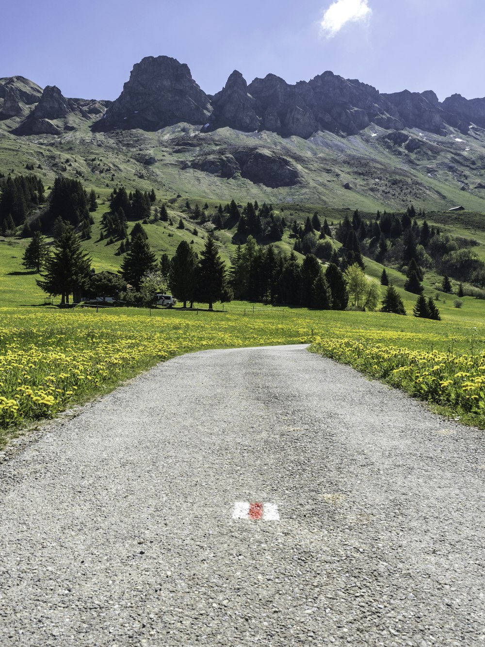 Champ d’herbe verte près de la montagne pendant la journée