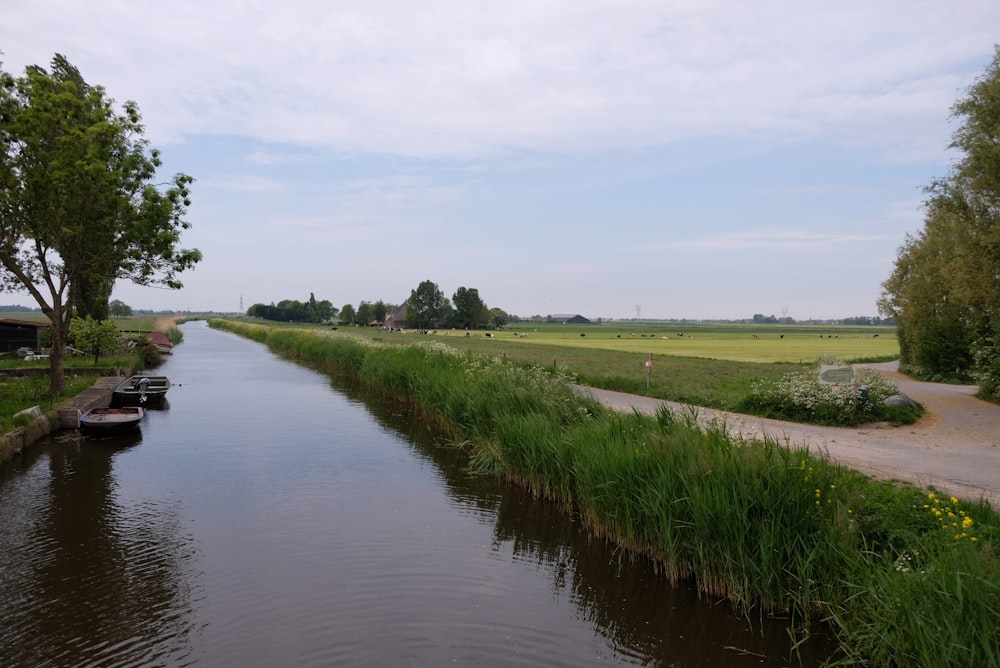 green grass field beside river under white clouds during daytime