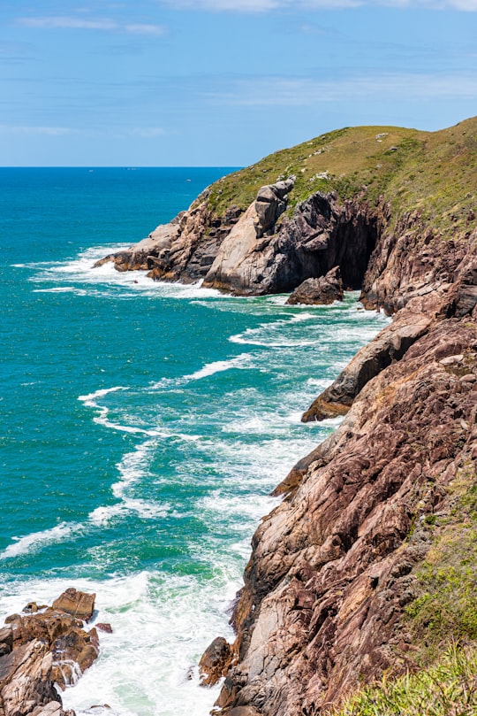 brown rock formation beside body of water during daytime in Florianópolis Brasil