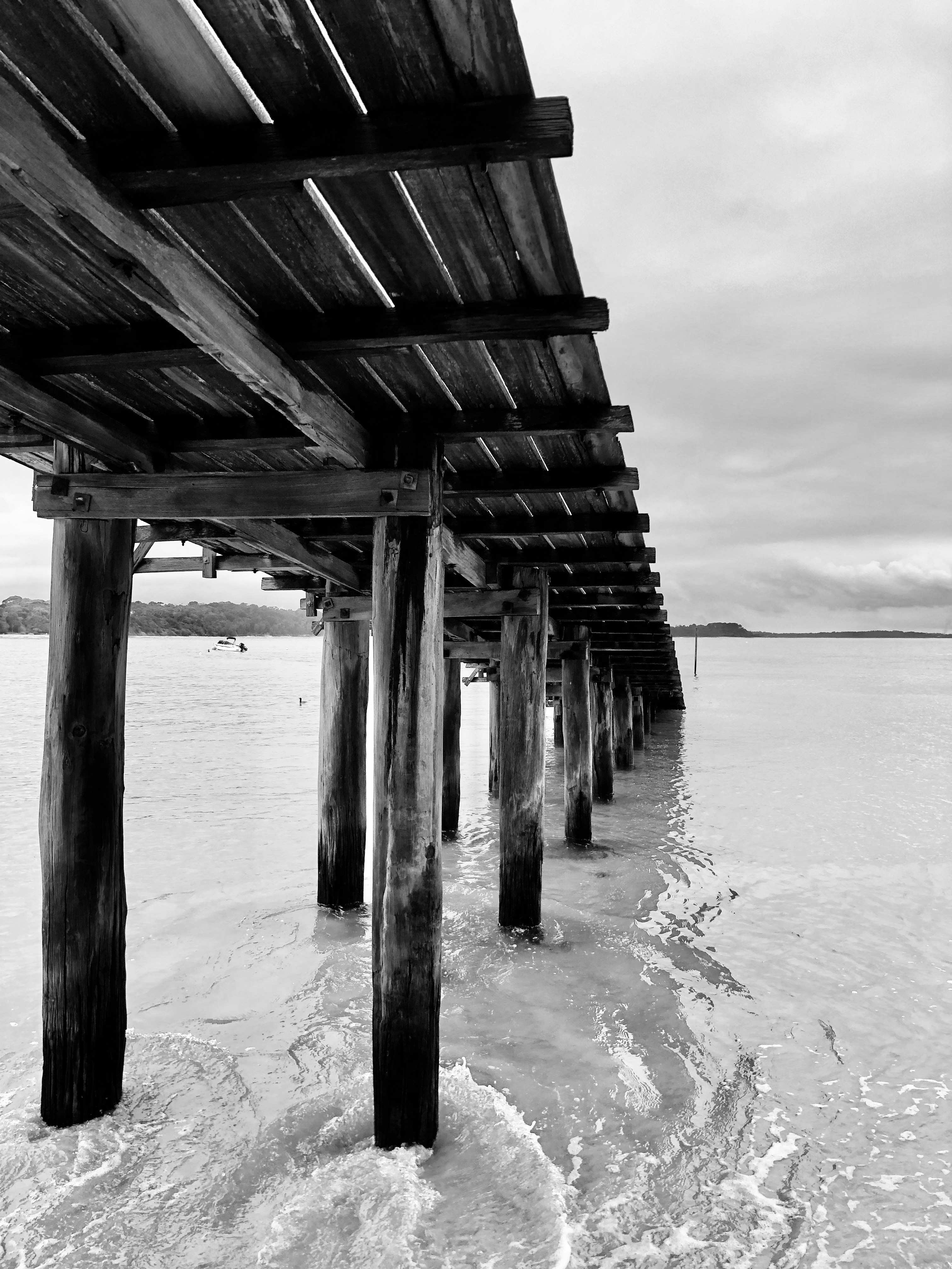 grayscale photo of wooden dock on sea