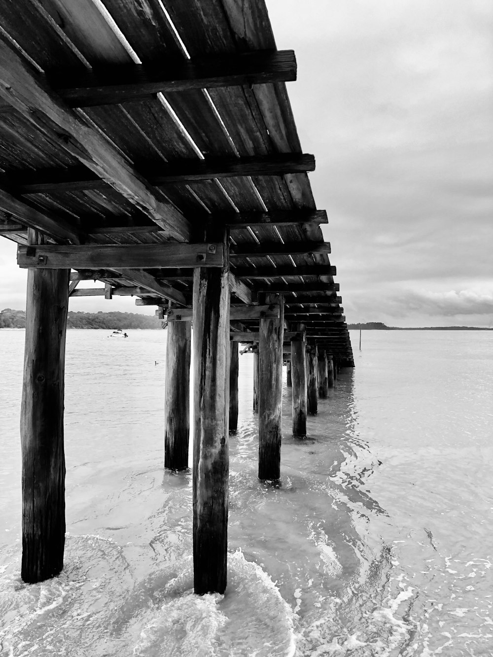 grayscale photo of wooden dock on sea