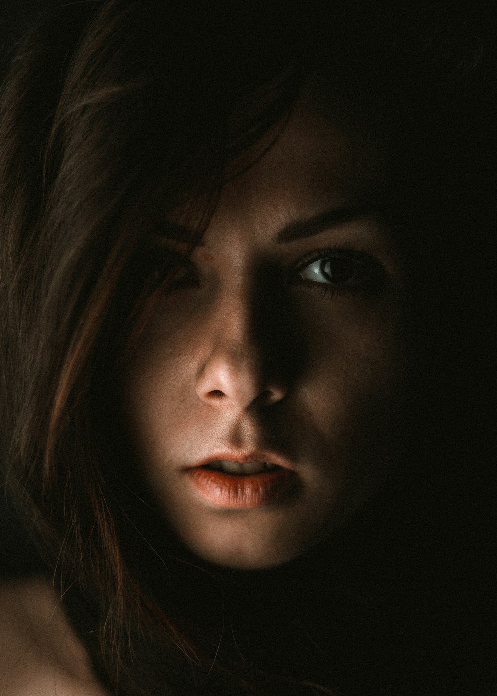 womans face in close up photography