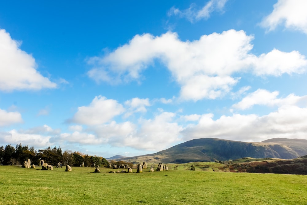 green grass field near green mountain under blue sky during daytime