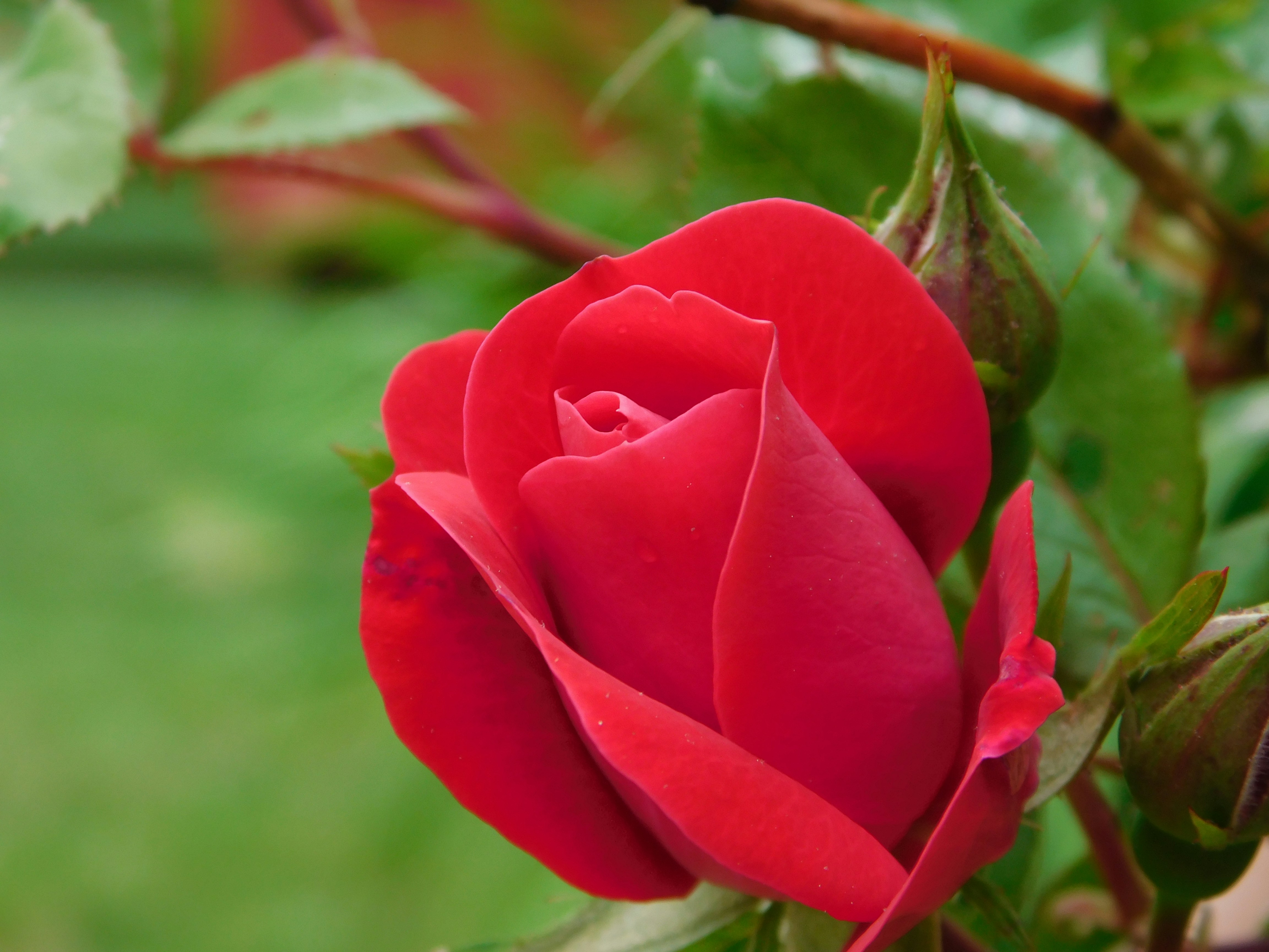 Photo by haylee_booth14