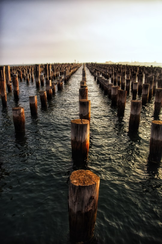 brown wooden posts on water during daytime in Princes Pier Australia