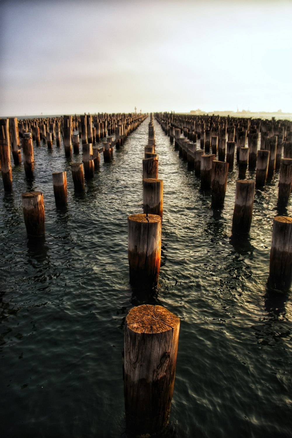 brown wooden posts on water during daytime