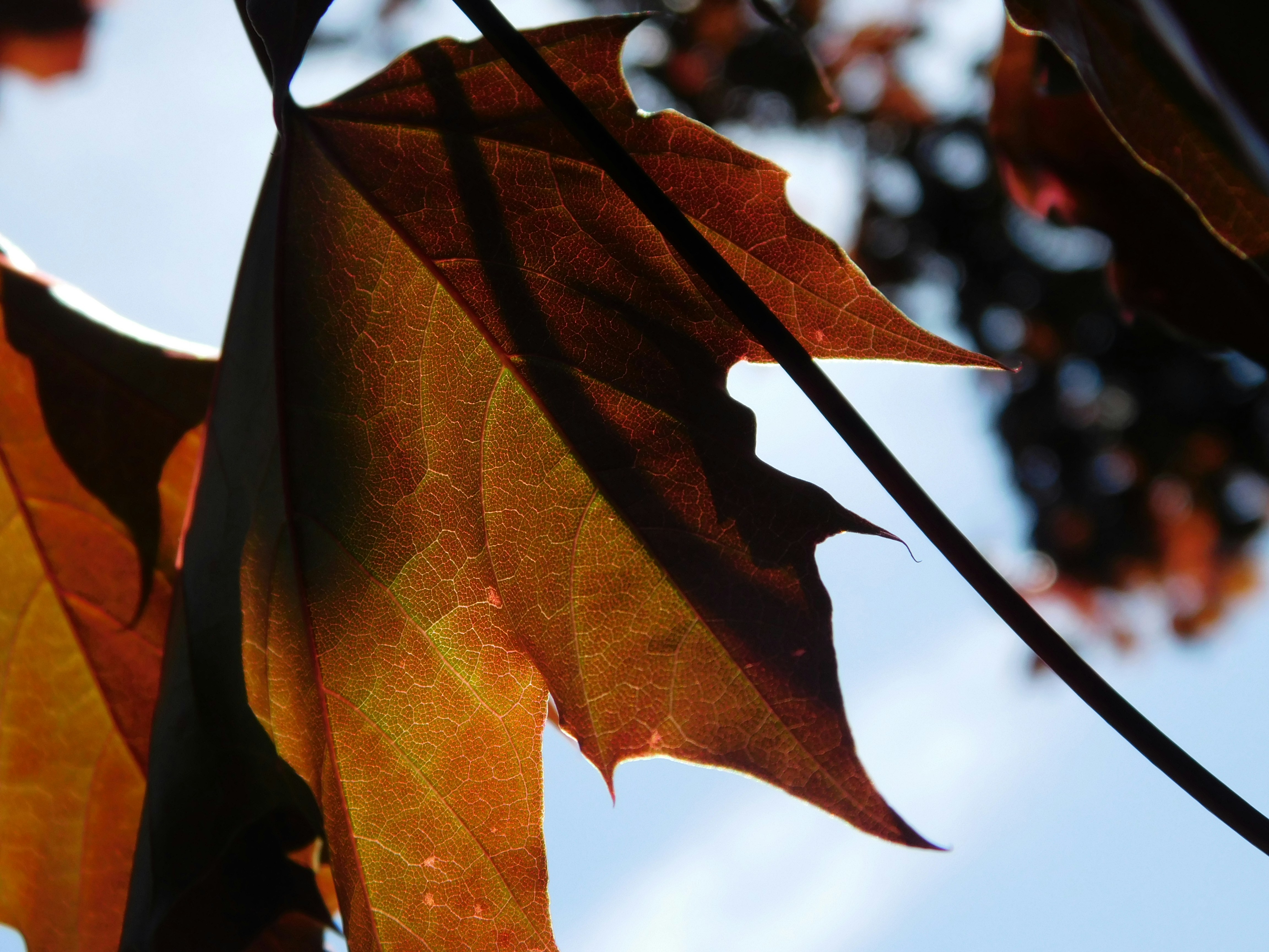 Photo by haylee_booth14