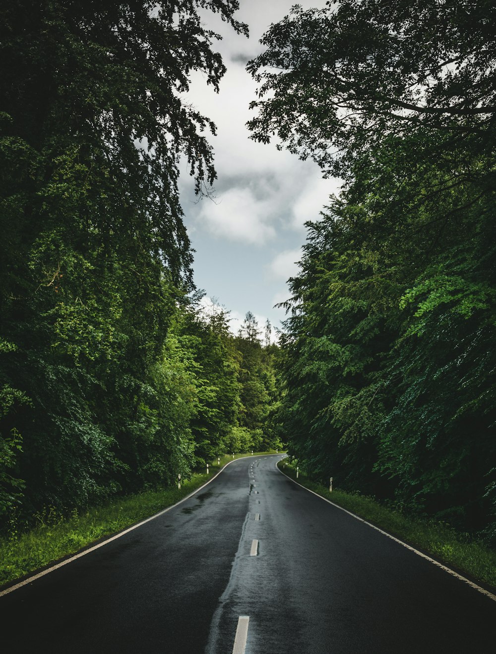 estrada de asfalto preto entre árvores verdes sob nuvens brancas durante o dia