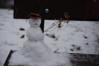 snowman on snow covered ground during daytime snowman google meet background