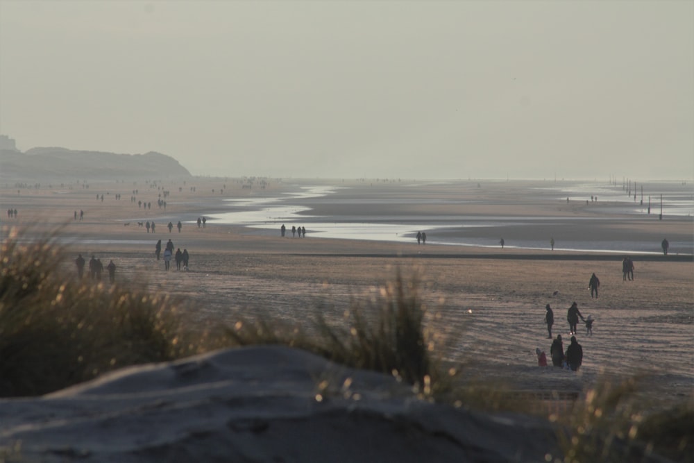 Menschen, die tagsüber am Strand spazieren gehen