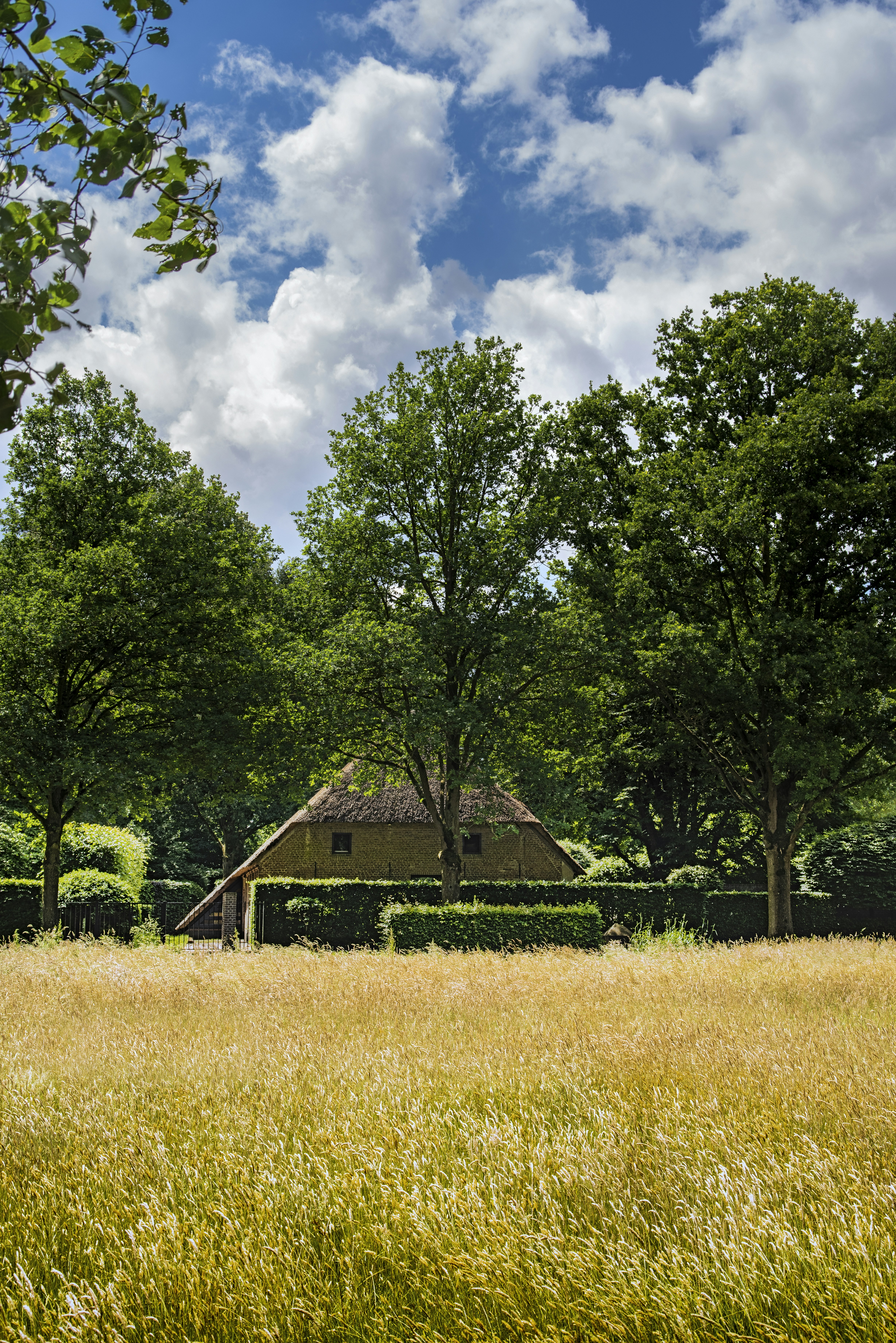 Photo by switch_dtp_fotografie