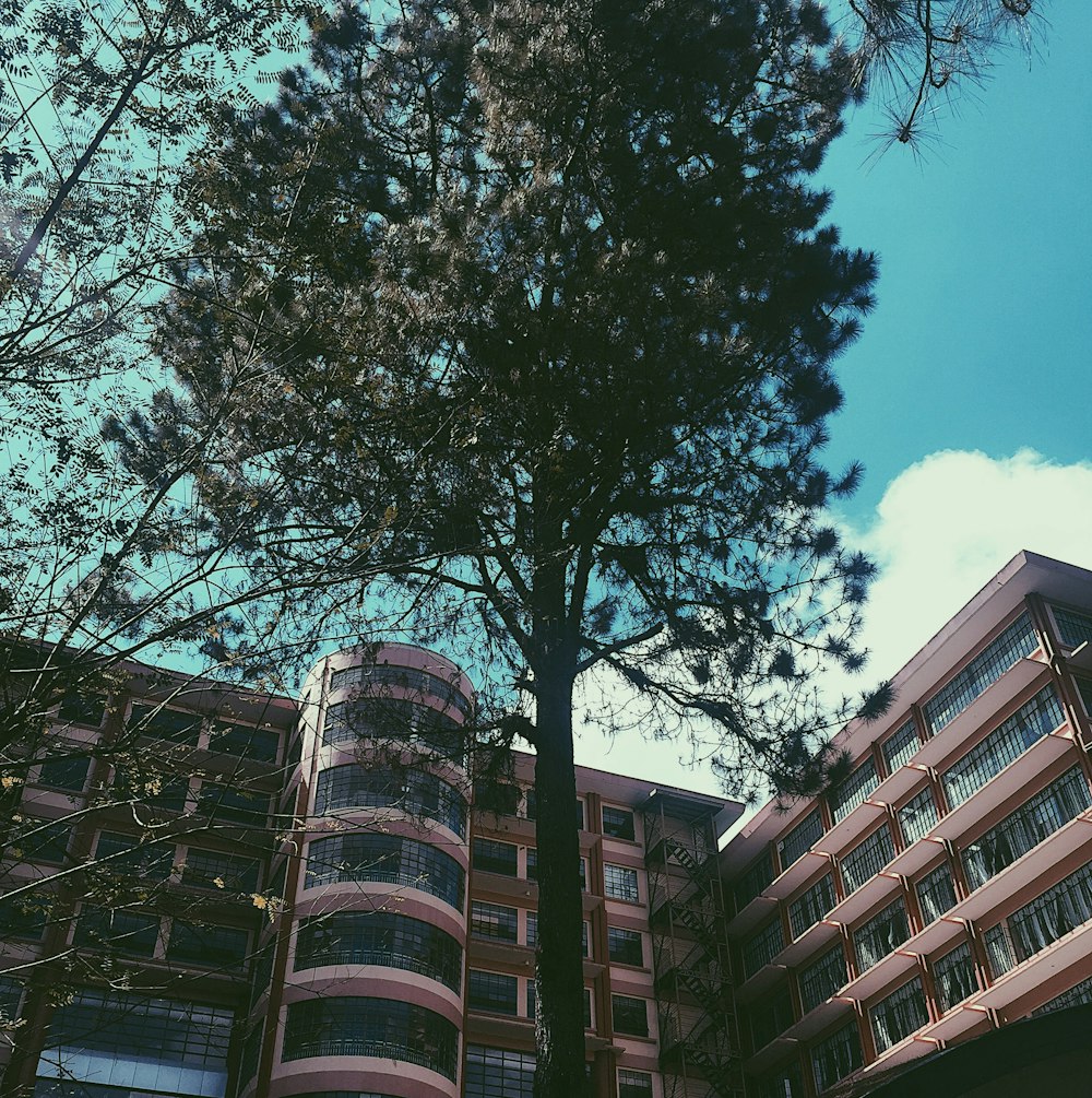 brown concrete building near green trees during daytime