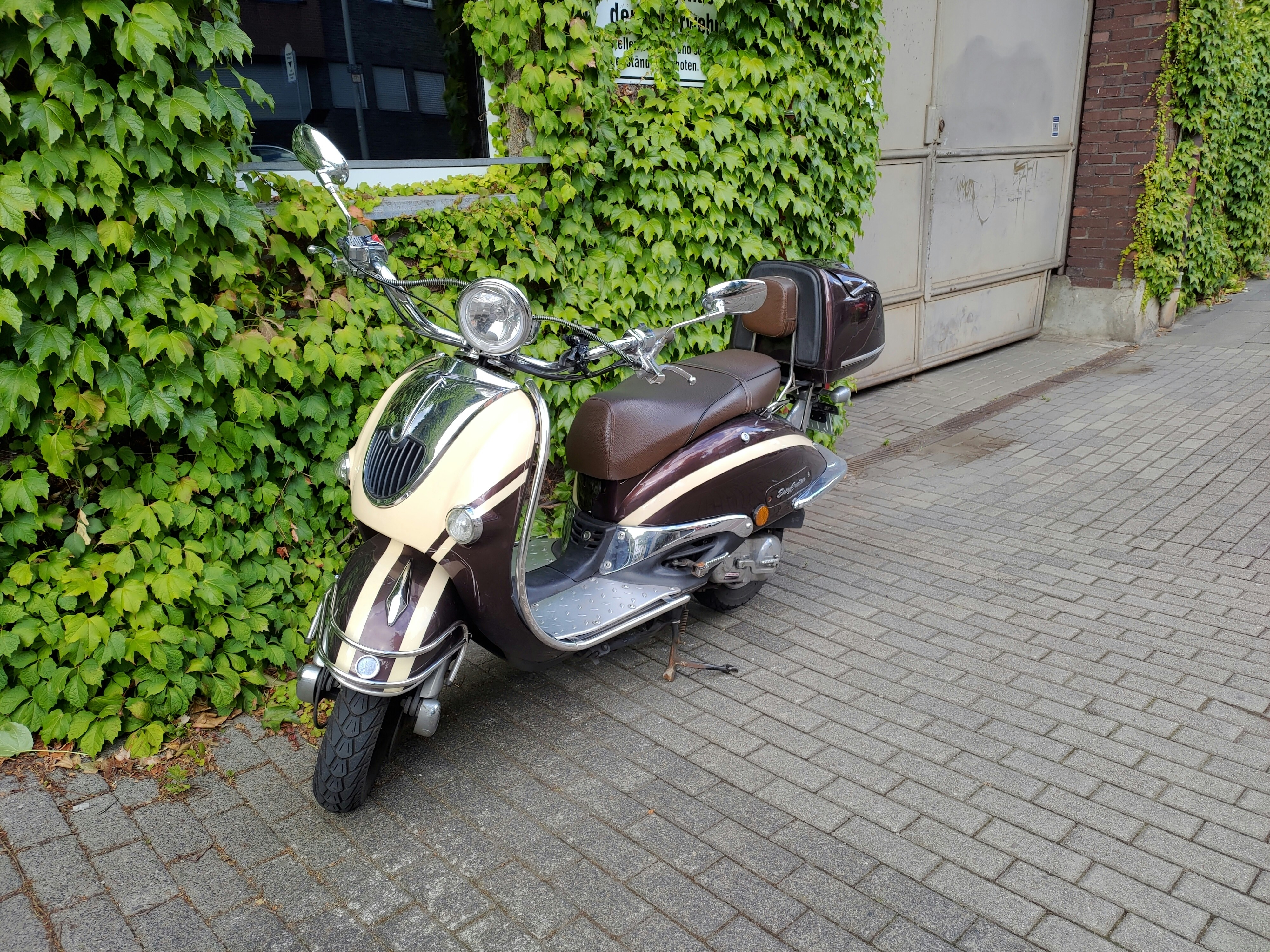 black and yellow motor scooter parked beside green plants during daytime