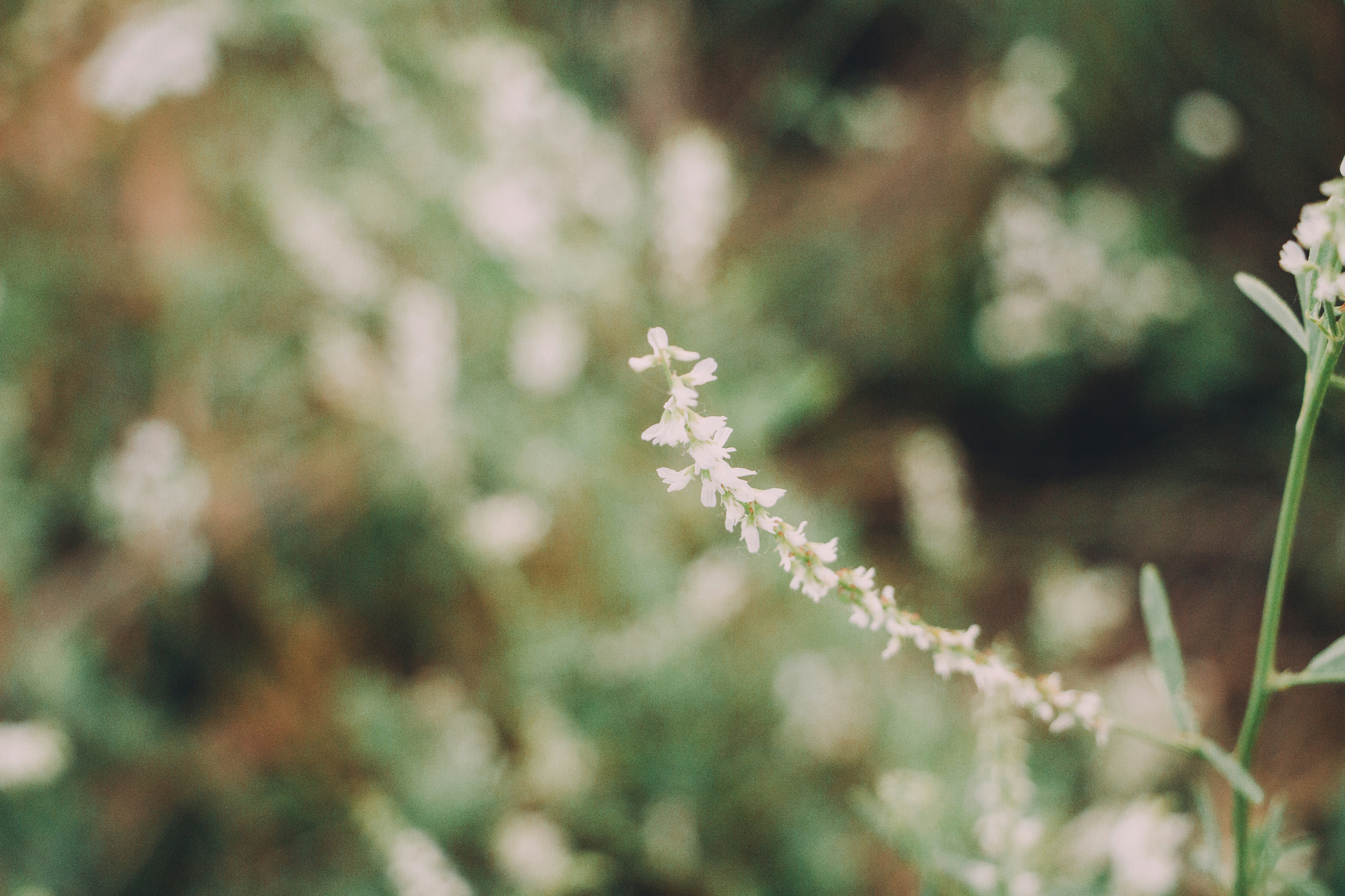 Photo by soroushkarimi