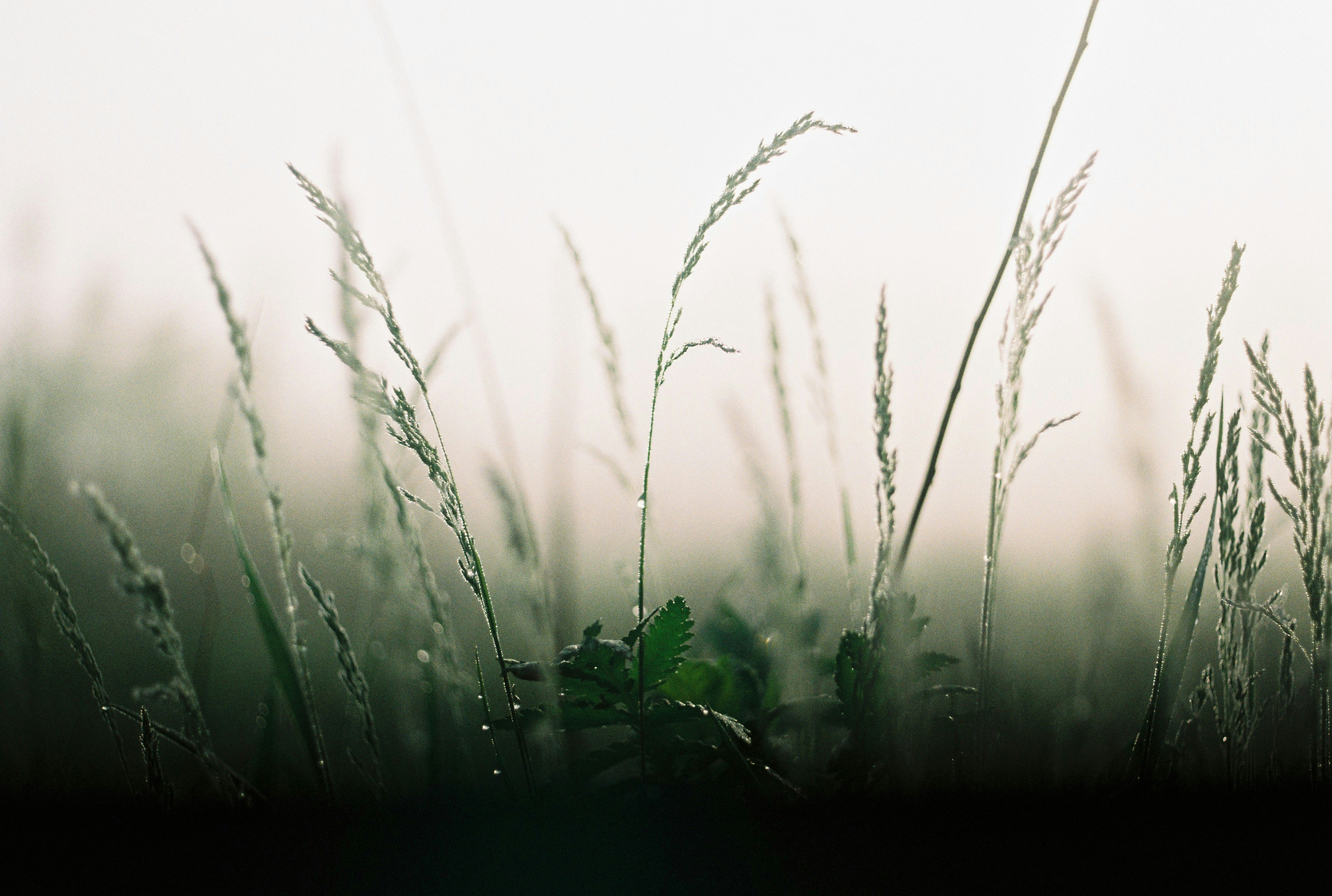 Photo by dashabogdan____