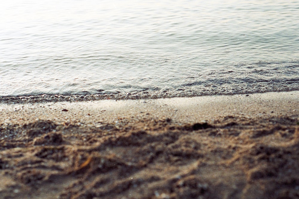 brown sand near body of water during daytime