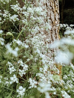 Close-up of delicate wildflowers intertwined with eucalyptus leaves, showcasing texture and color.