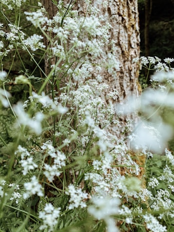 Close-up of delicate wildflowers intertwined with eucalyptus leaves, showcasing texture and color.