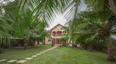 green palm tree near brown concrete house