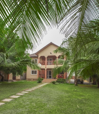 green palm tree near brown concrete house