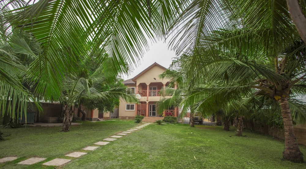 green palm tree near brown concrete house