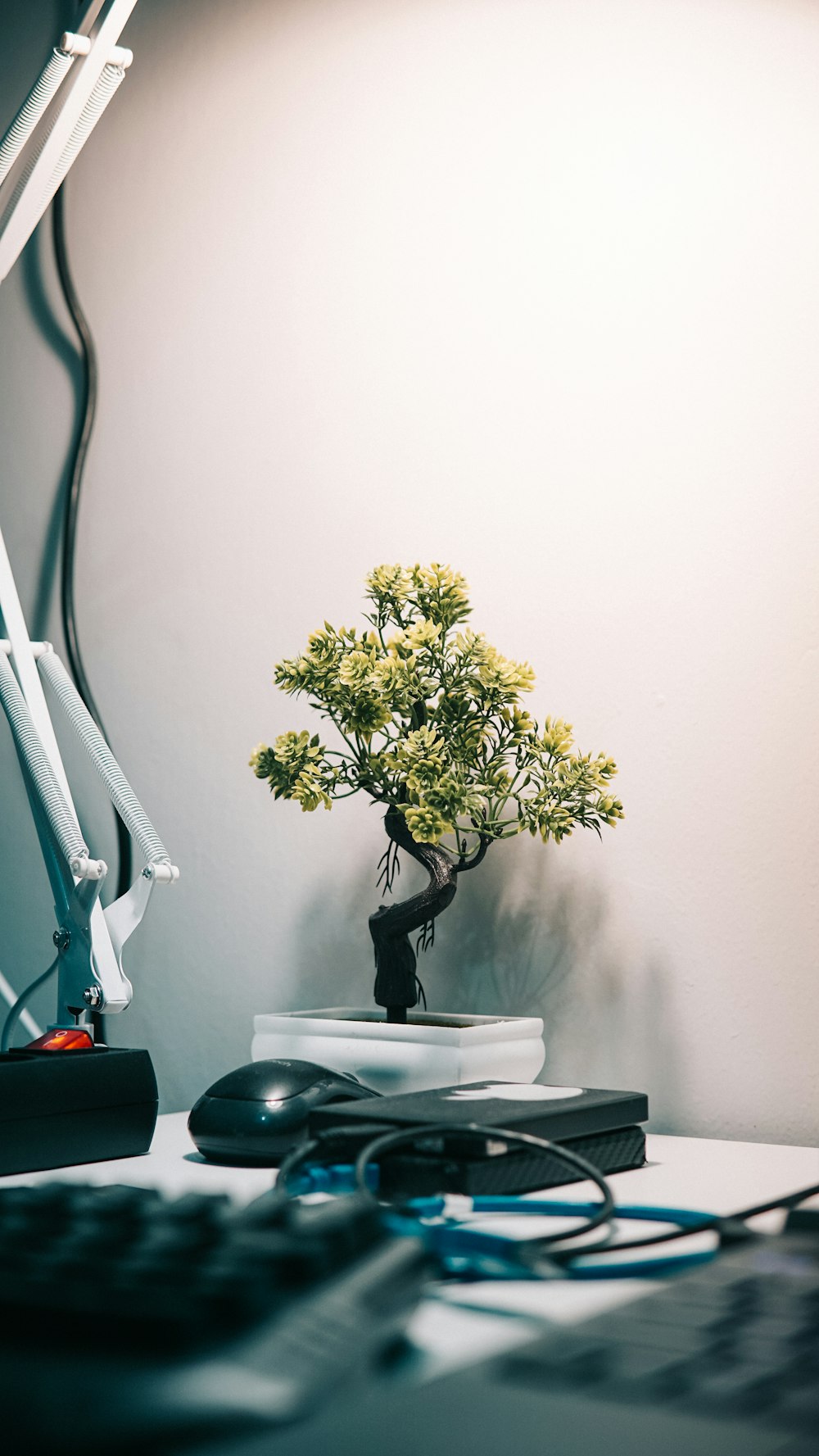 fiori gialli su vaso nero