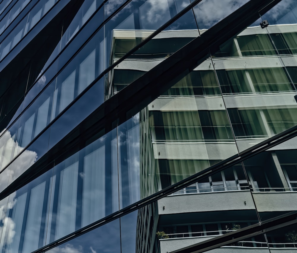 black metal framed glass window building