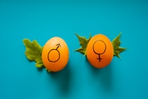 two oranges with faces drawn on them sitting next to each other