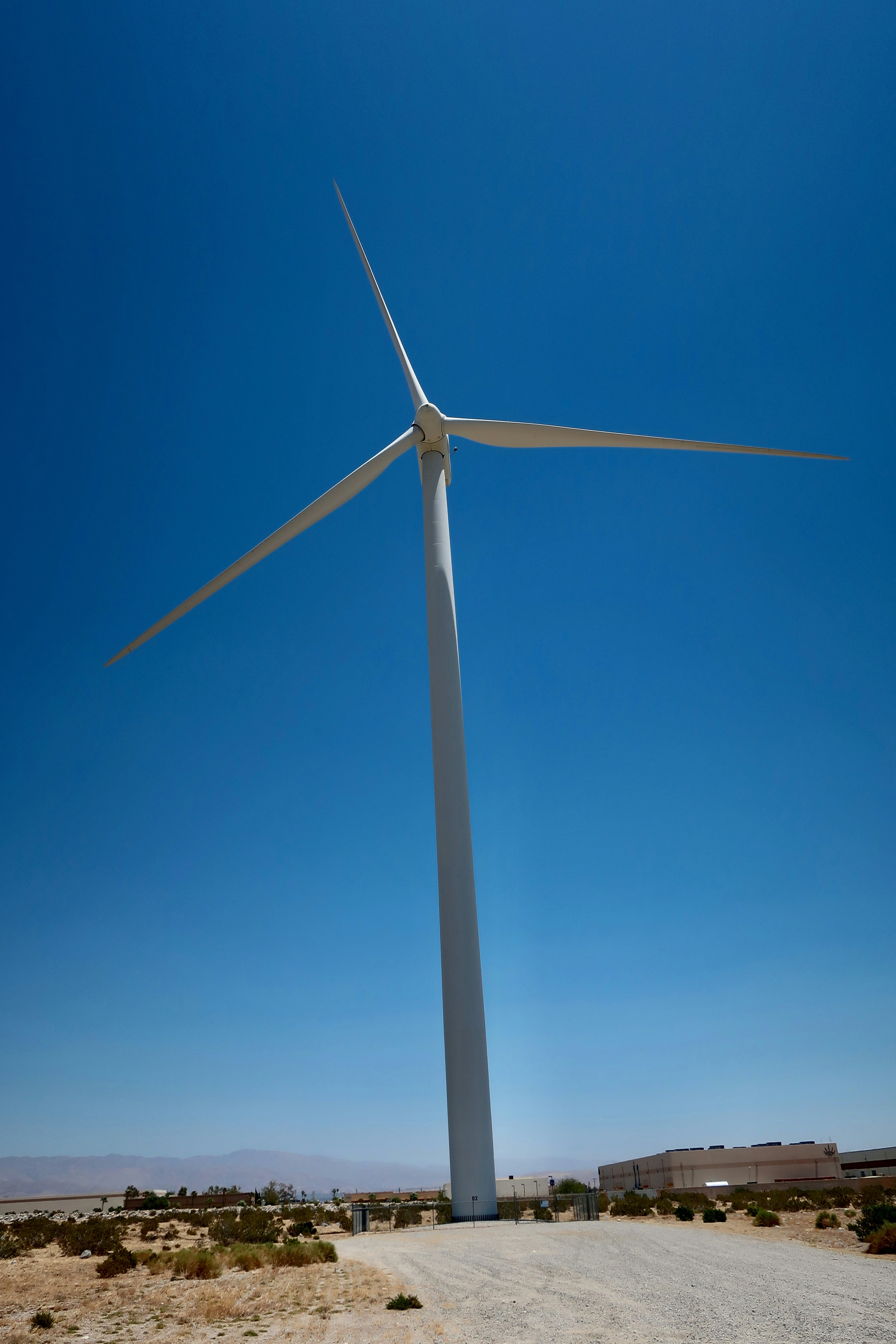 Photo by palmspringsdon