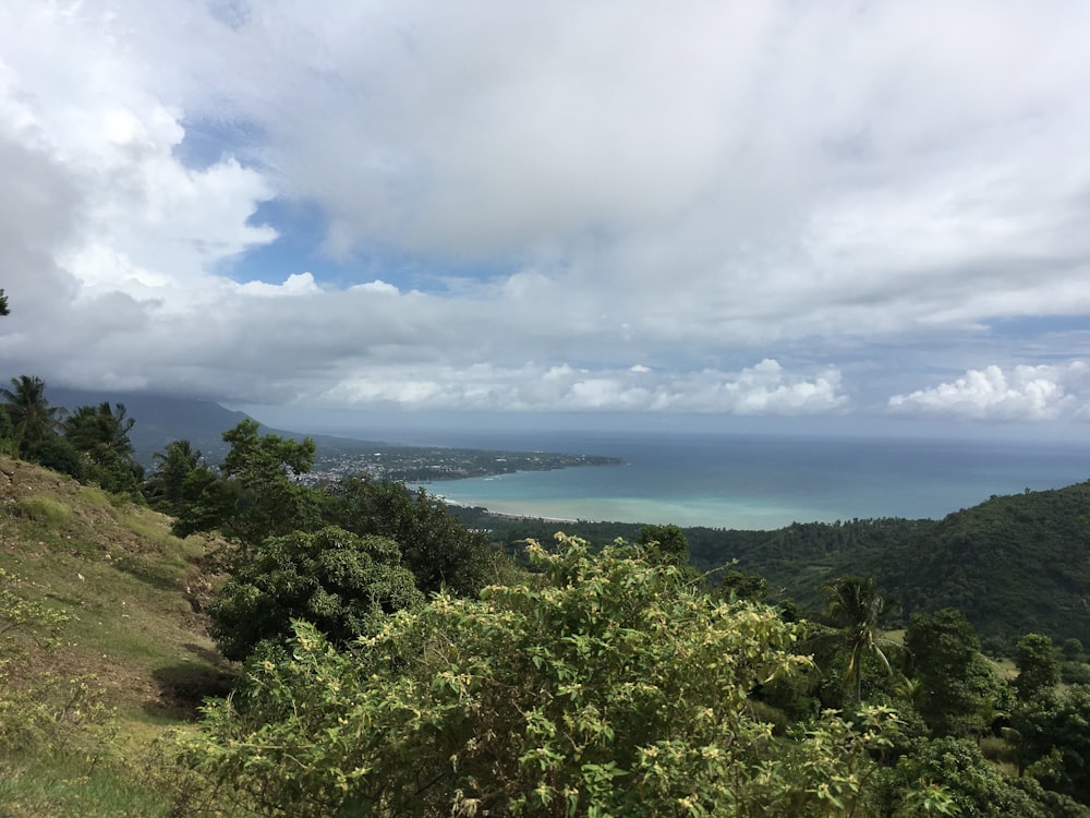 green trees near body of water under white clouds and blue sky during daytime