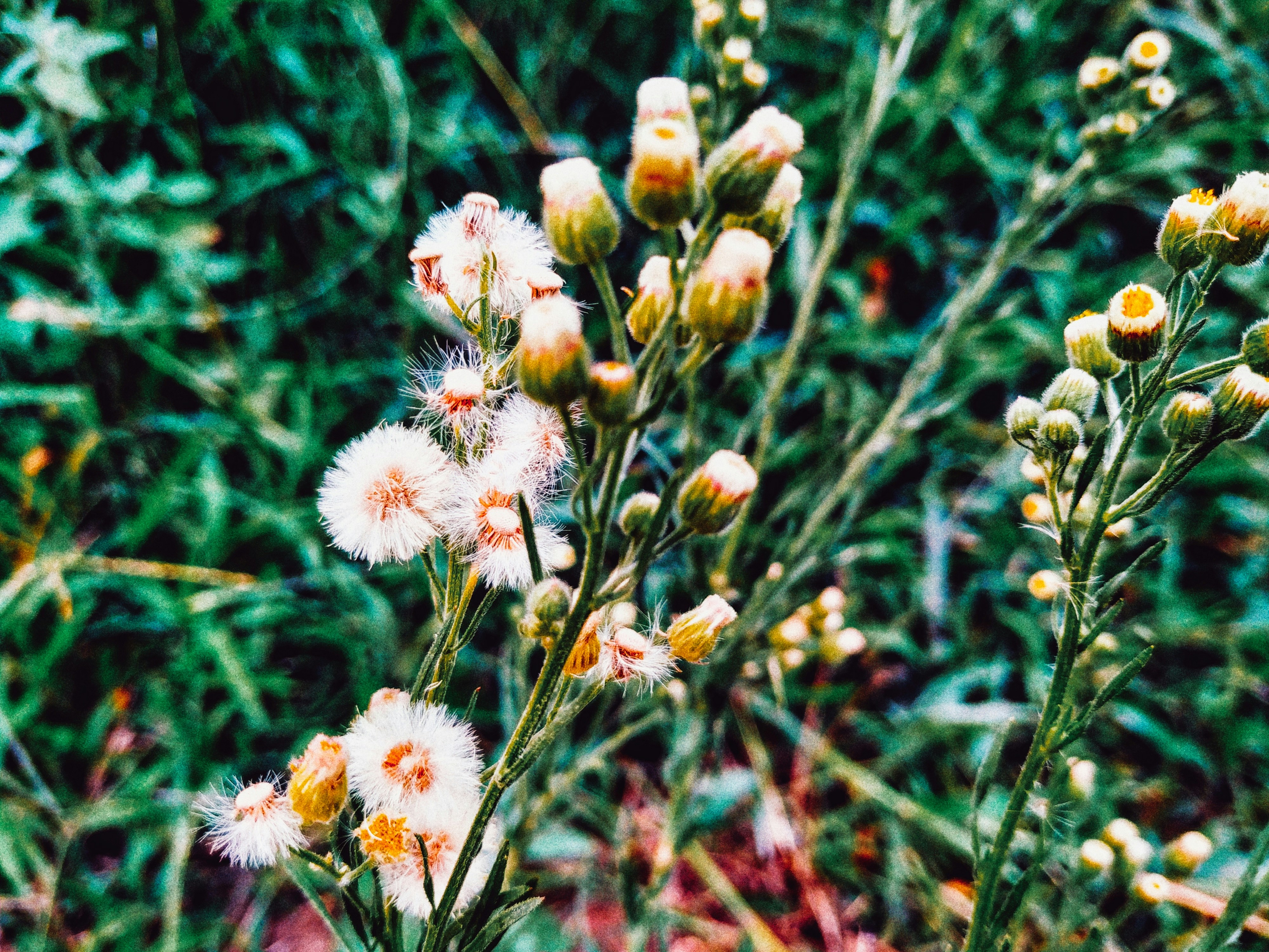 Photo by robbymp