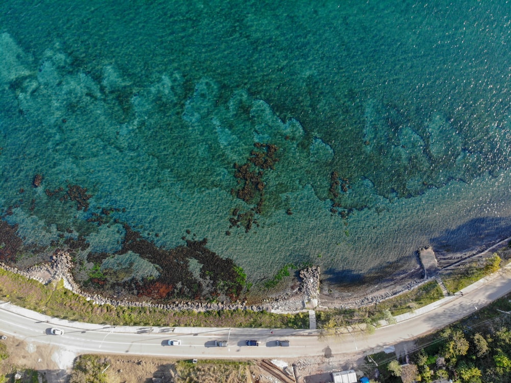 aerial view of green trees beside road during daytime