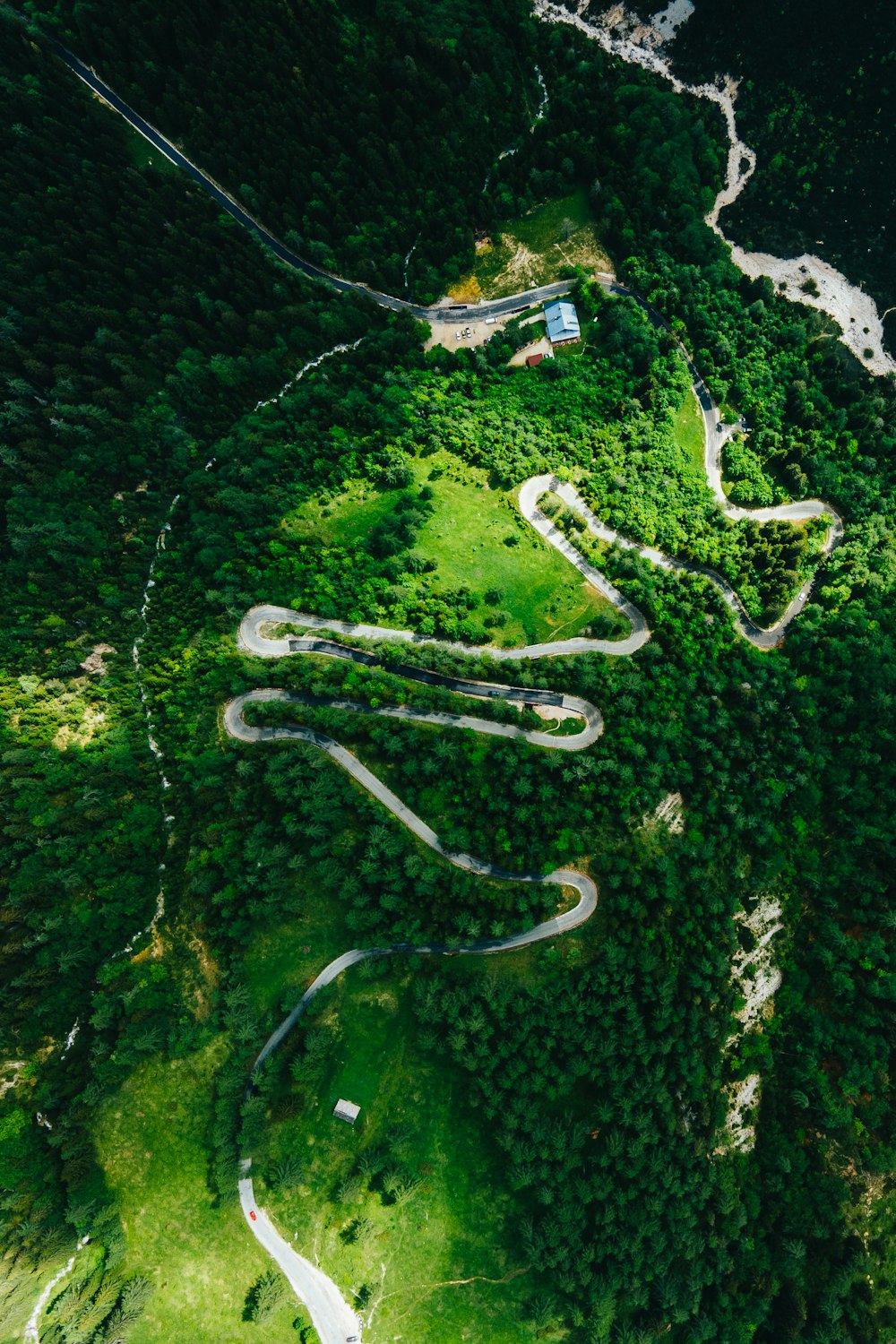 vista aérea de árvores verdes e estrada
