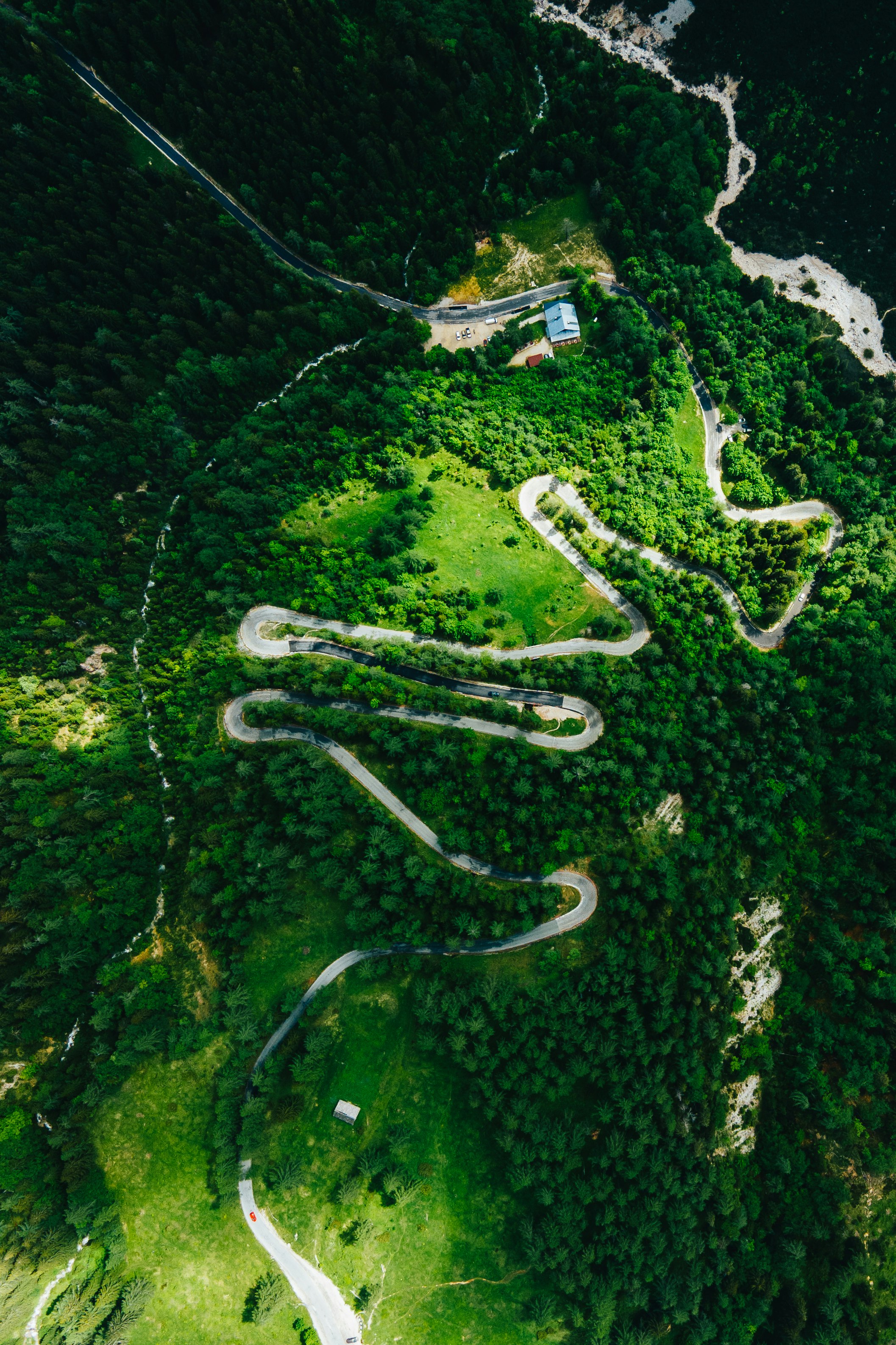 aerial view of green trees and road