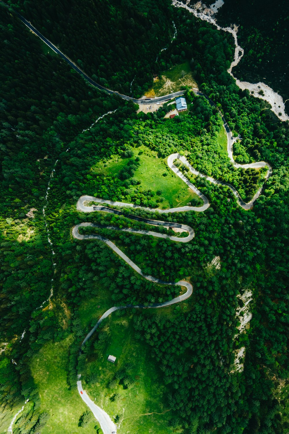 aerial view of green trees and road