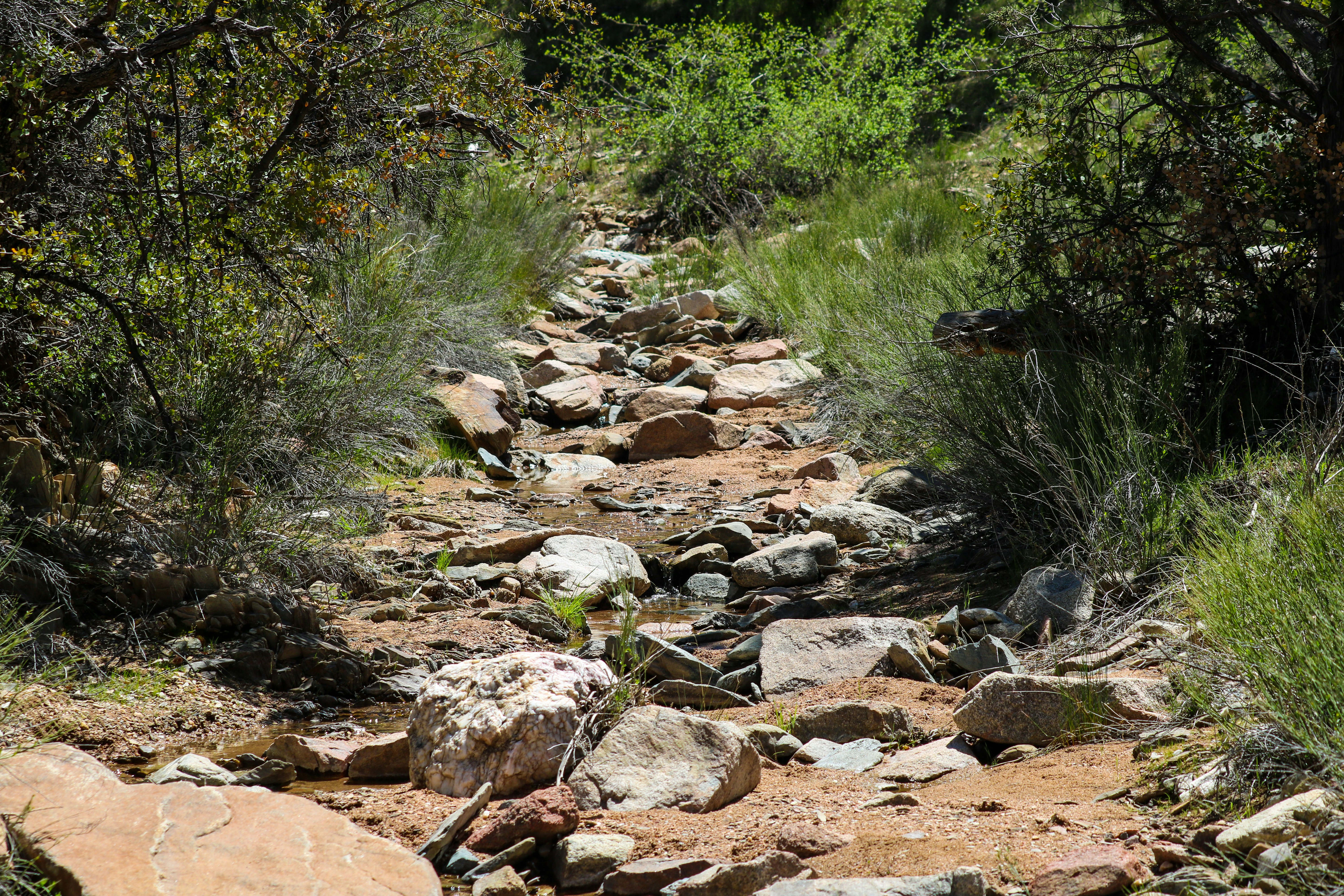 Photo by nikolehahn1