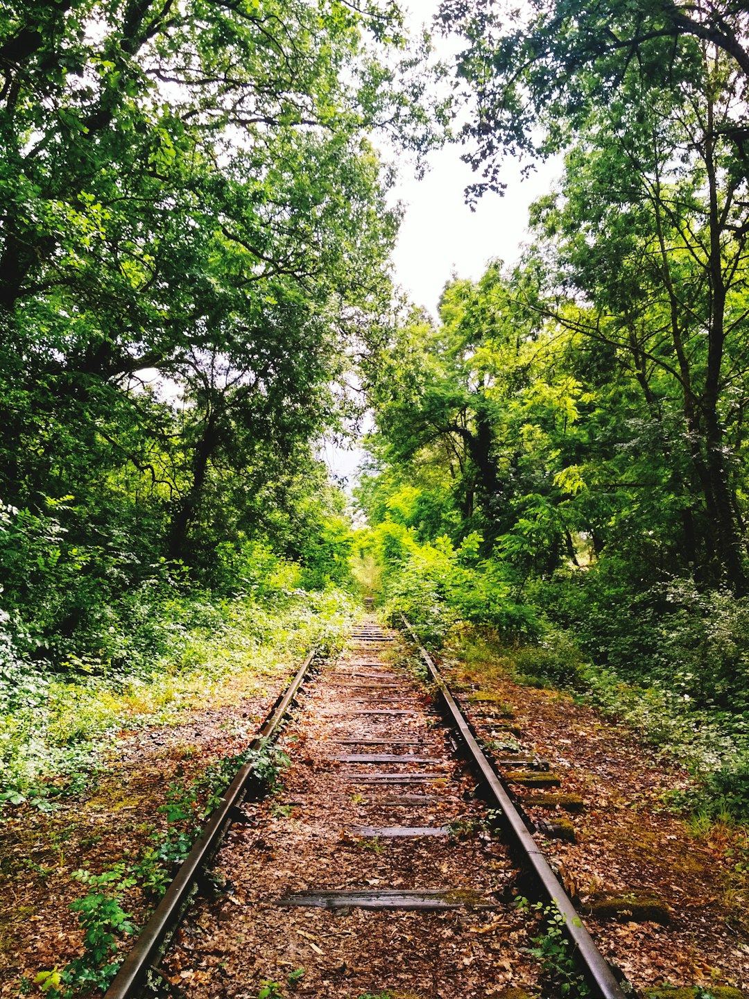 Travel Tips and Stories of Saint-Juéry in France