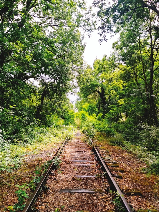 brown train rail between green trees during daytime in Saint-Juéry France