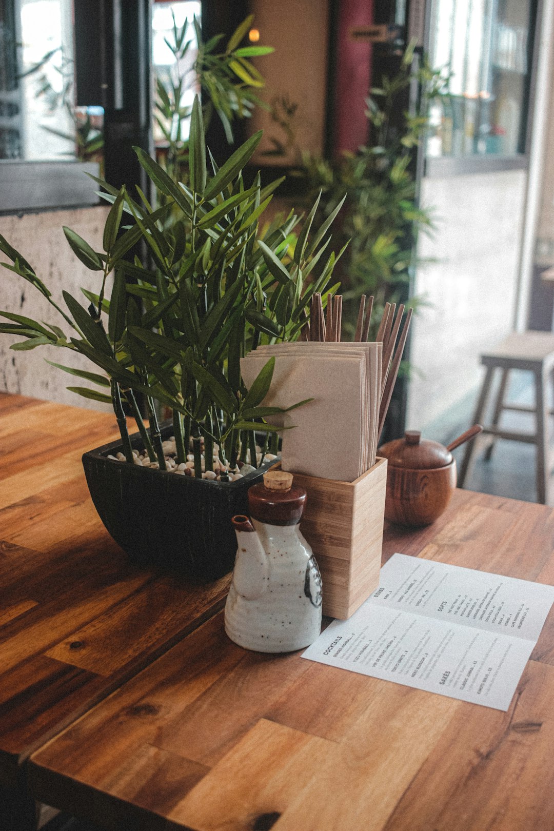 green plant on white ceramic vase