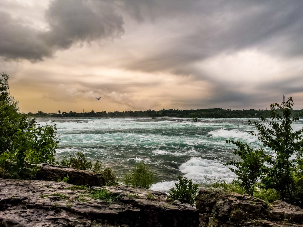 body of water under cloudy sky during sunset