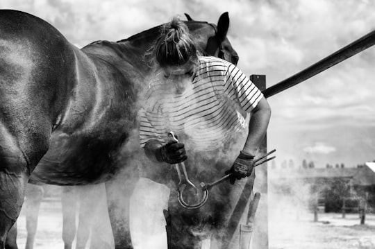 grayscale photo of woman in striped shirt riding horse in Chantilly France