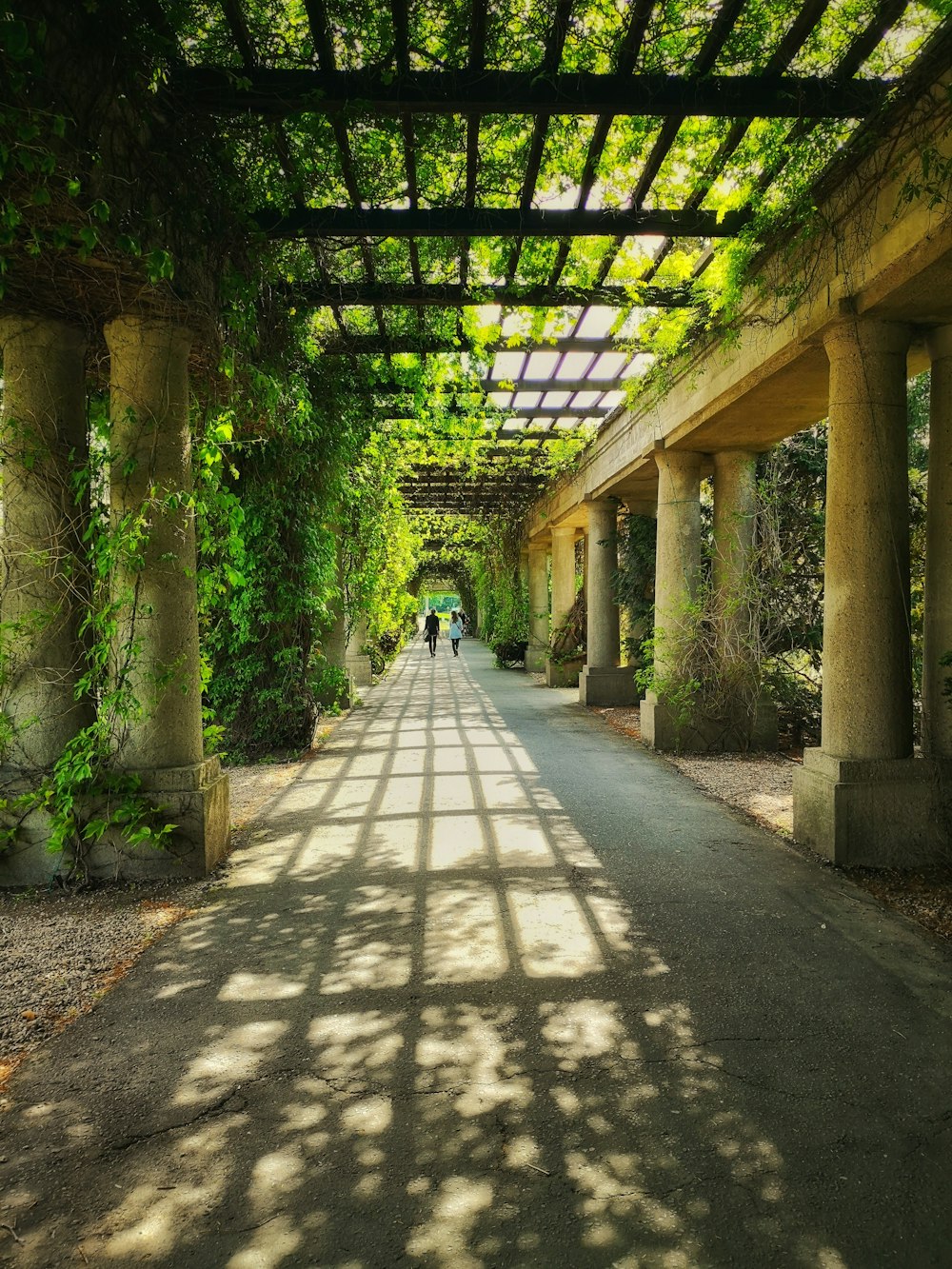 gray concrete pathway between green trees during daytime