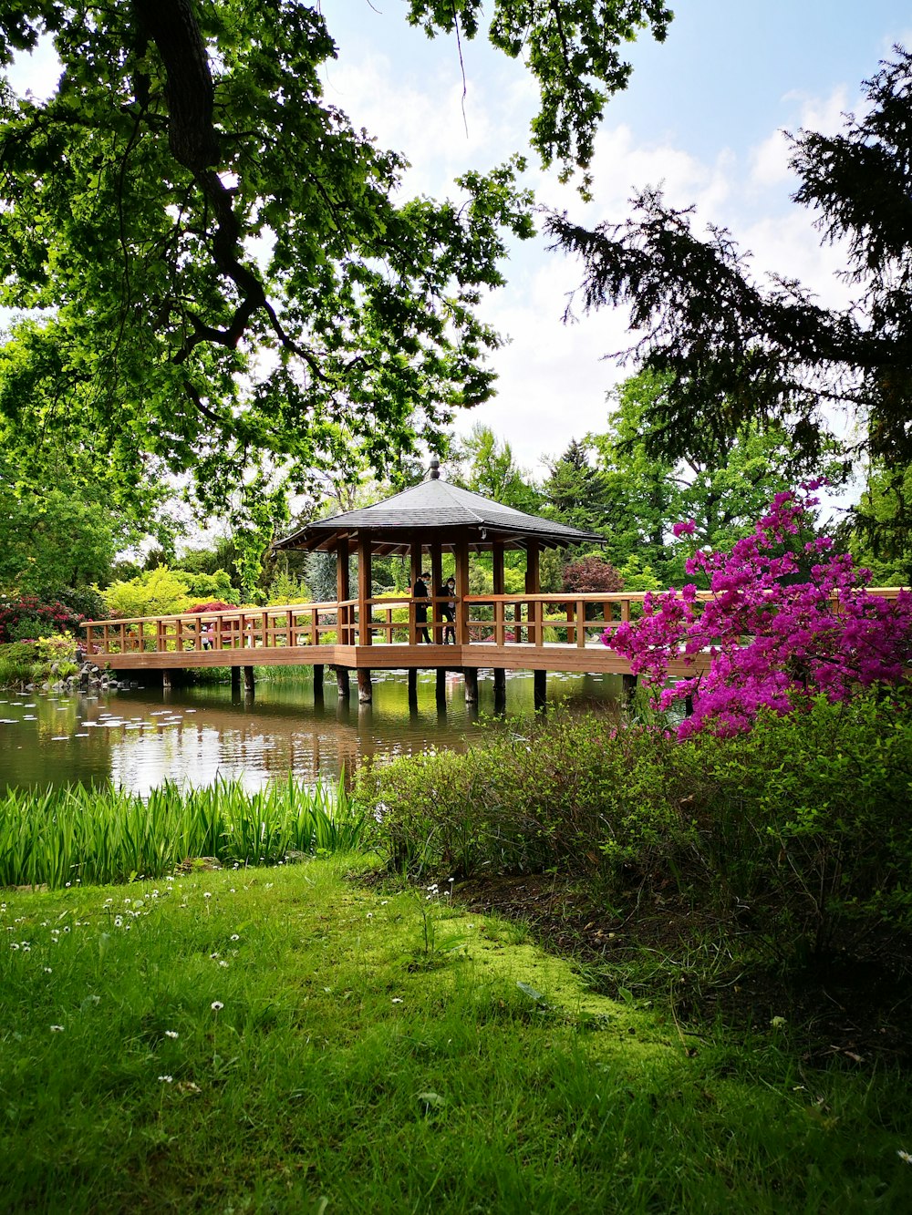 Casa di legno marrone vicino al lago circondata da alberi durante il giorno