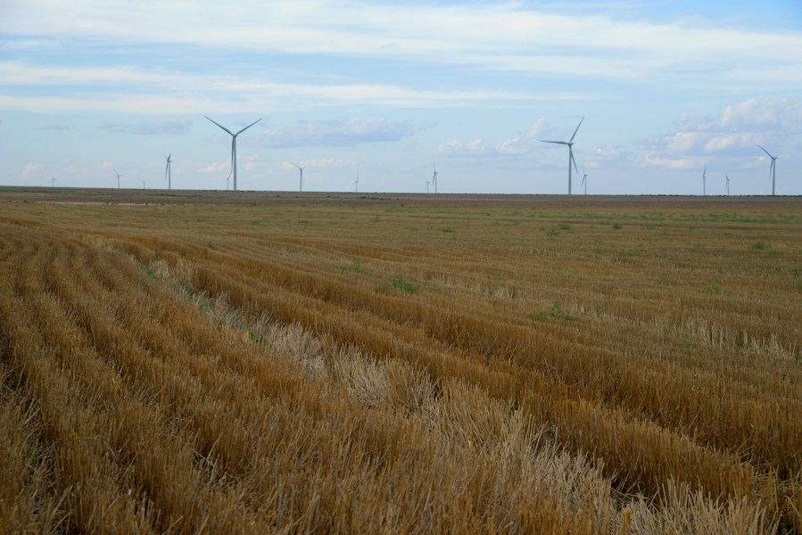 The Homestead Act: Settling the Great Plains