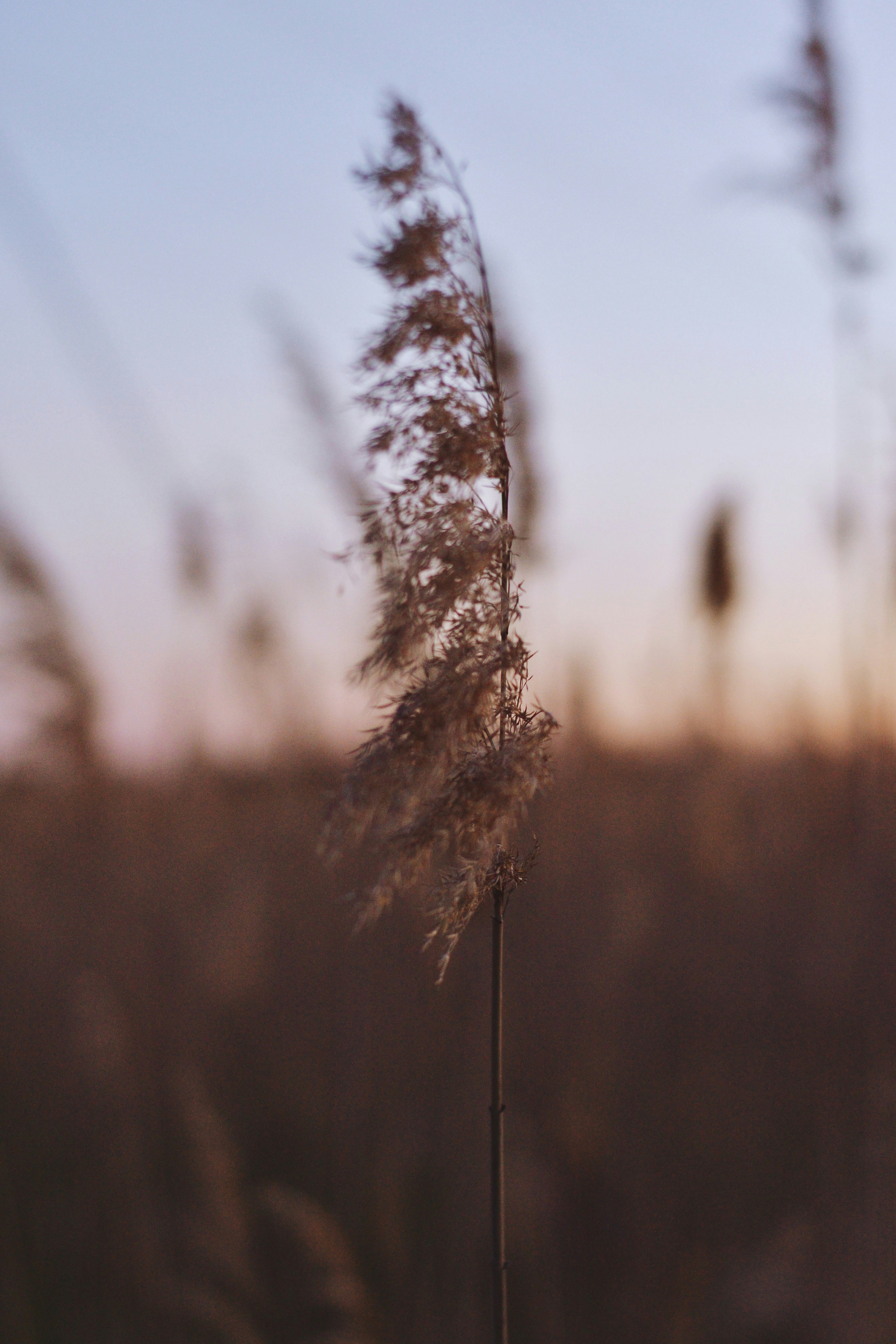 Photo by dudukalov_vl